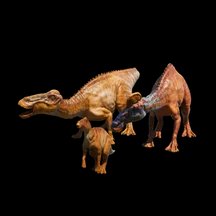 Edmontosaurus