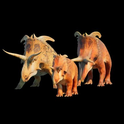 Lokiceratops