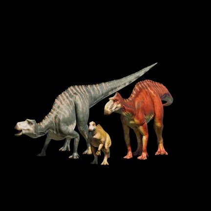Maiasaura