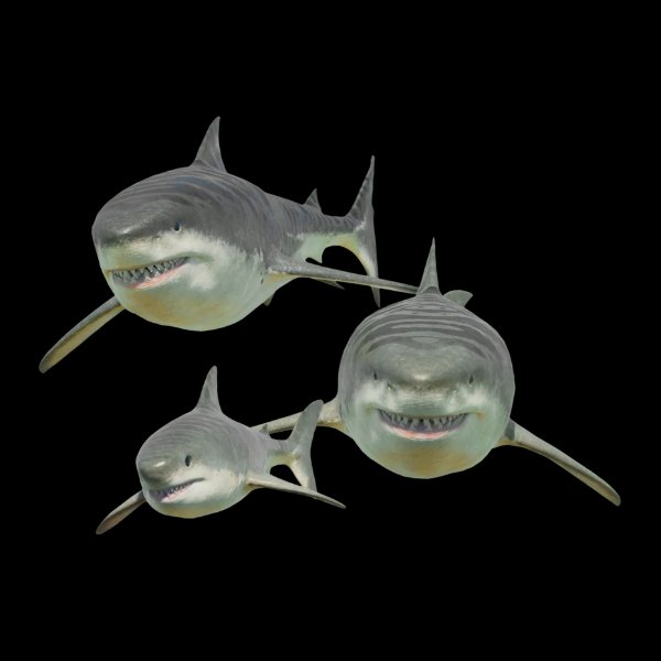 Megalodon