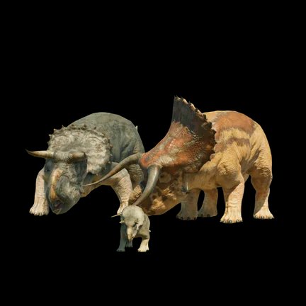Nasutoceratops