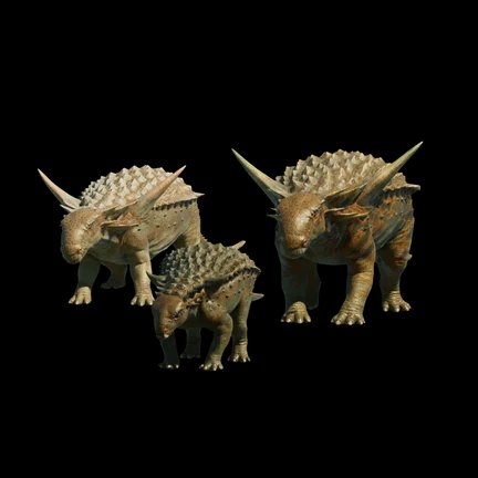 Sauropelta