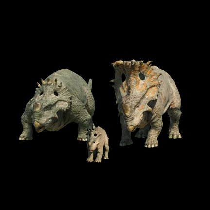 Sinoceratops