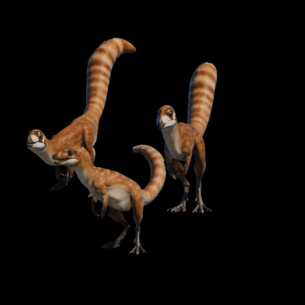 Sinosauropteryx