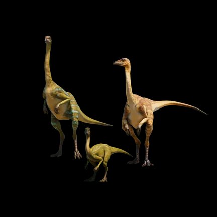 Struthiomimus