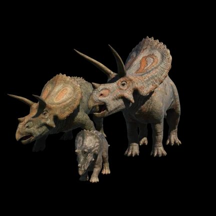 Torosaurus