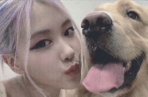 puppy