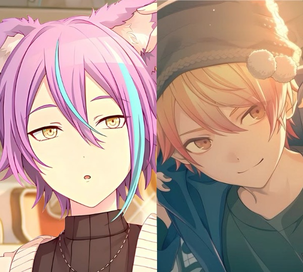 Dog x Cat
