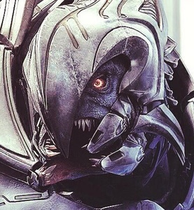 Arbiter Ripa Moramee
