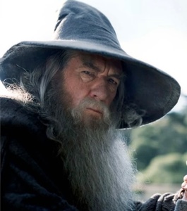 Gandalf the Grey