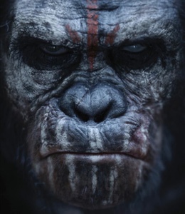 Koba