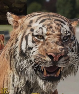 Shere Khan