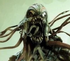 Skorge