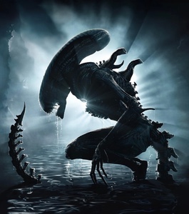 Xenomorph