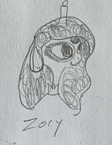 Zory