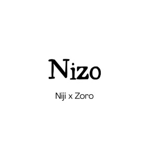 Nizo