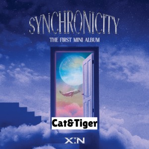Cat&Tiger