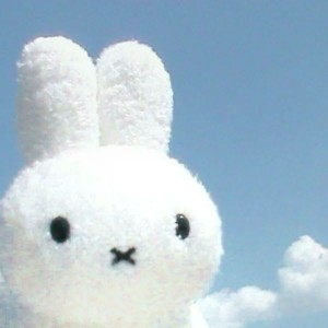 miffy