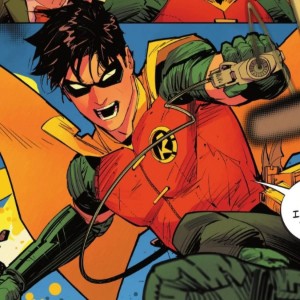 robin