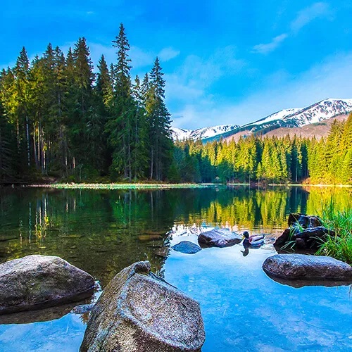 Lake Water