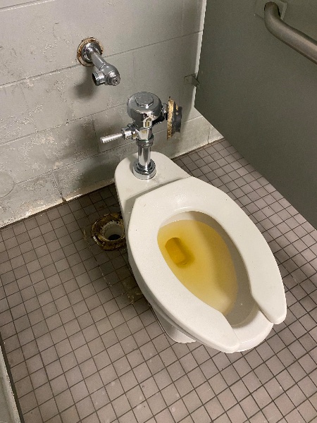 Piss
