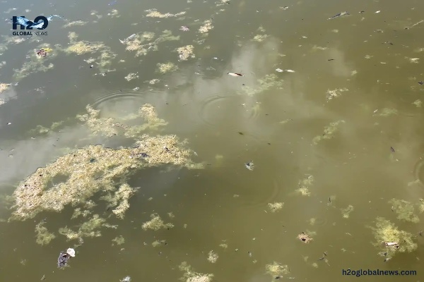 Still Water