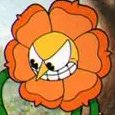 Cagney Carnation