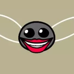 Fly