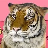 Giant Realistic Flying Tiger