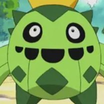 James's Cacnea