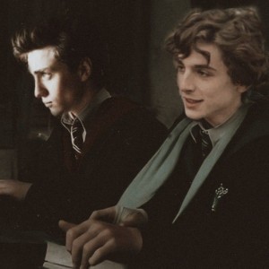 Regulus & James | Harry Potter/Marauders