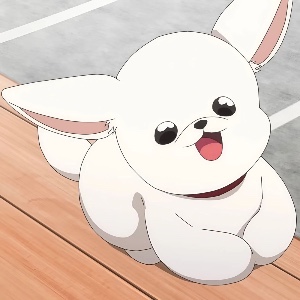 Pochi