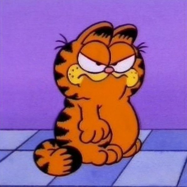 Garfield - Garfield