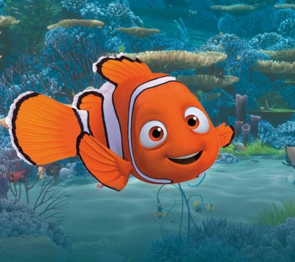 Nemo - Finding Nemo
