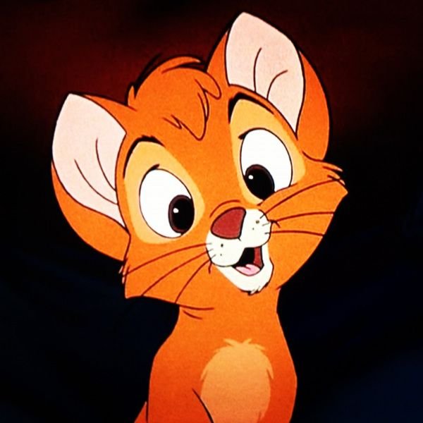 Oliver - Oliver & Company