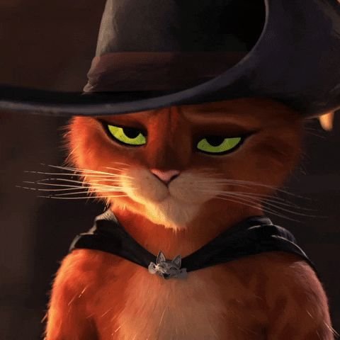 Puss in Boots - Shrek