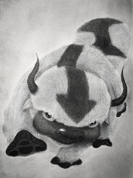 APPA