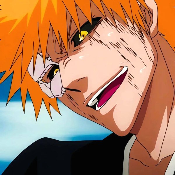 kurosaki ichigo