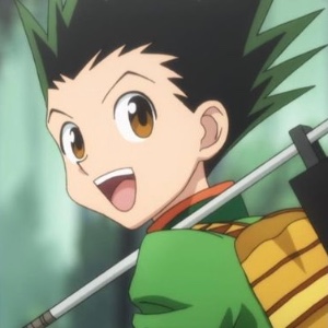 Gon Freeces