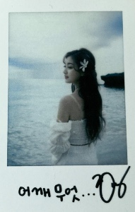 summer nights monograph