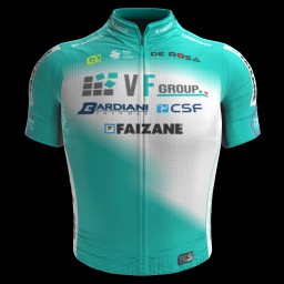 VF Group - Bardiani