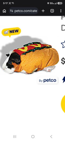Hot Dog