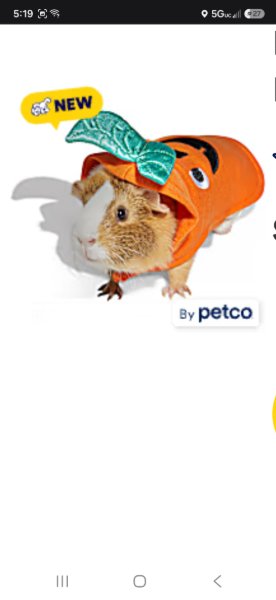 Pumpkin