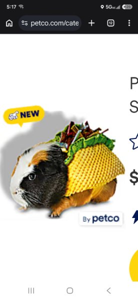 Taco