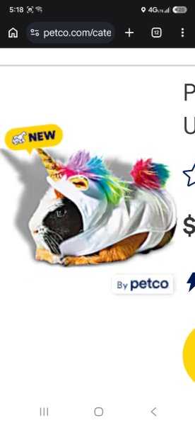Unicorn