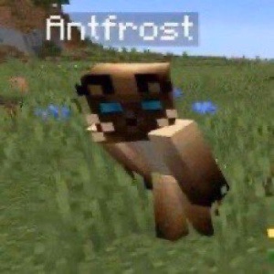 Antfrost
