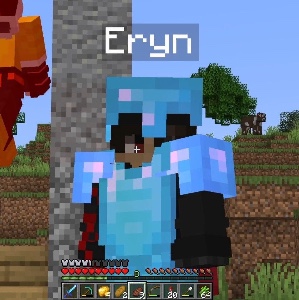Eryn