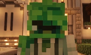 Slimcicle
