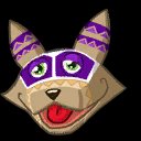 Macaraccoon
