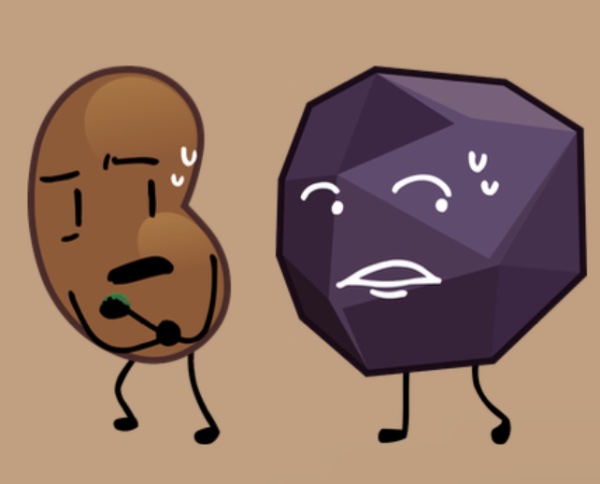 Bean and rock
